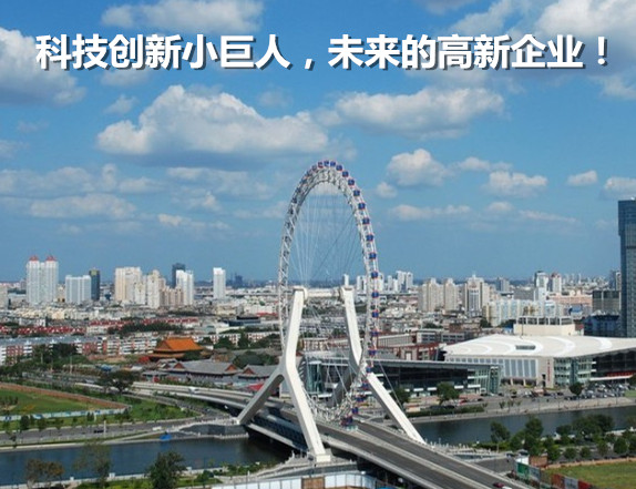 科技創(chuàng)新小巨人企業(yè)